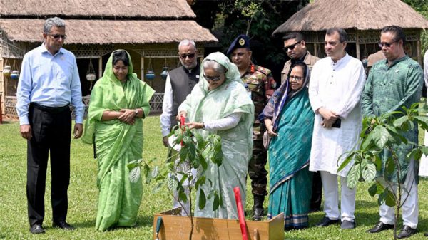 সবাইকে অন্তত একটি গাছ লাগানোর আহ্বান প্রধানমন্ত্রীর